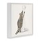 Stupell Industries Raccoon Toilet Paper Hoarder Framed Giclee Art